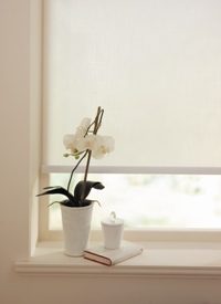 LL_Roller_ScreenTex_White_C1